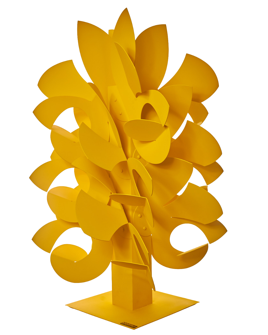 Flor de páramo