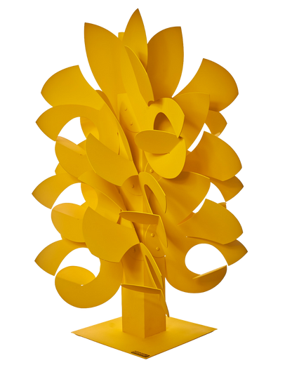 Flor de páramo